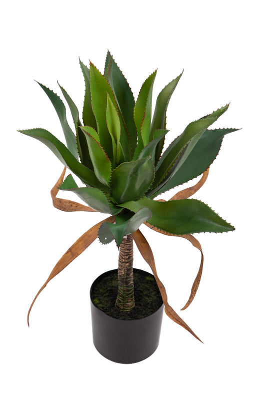 Pianta Artificiale Agave 71 cm con Vaso