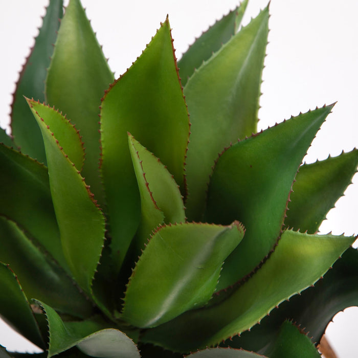 Pianta Artificiale Agave 71 cm con Vaso