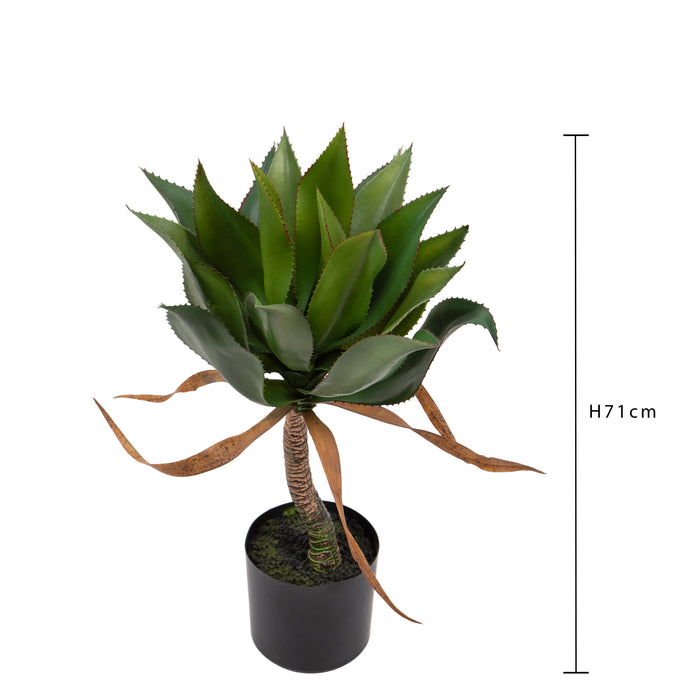 Pianta Artificiale Agave 71 cm con Vaso