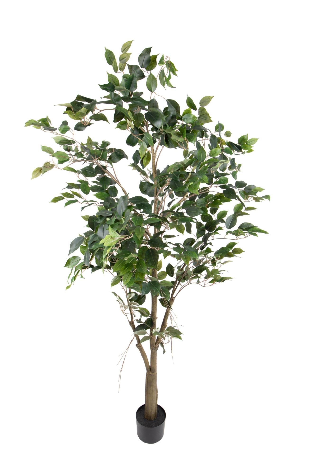 Pianta Artificiale Ficus con Vaso H 183 cm