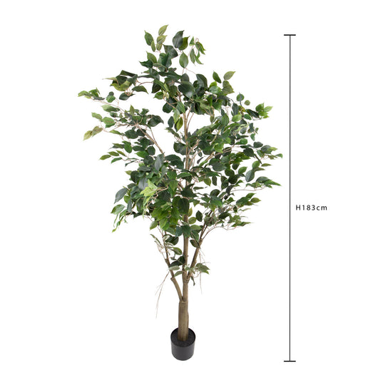 Pianta Artificiale Ficus con Vaso H 183 cm