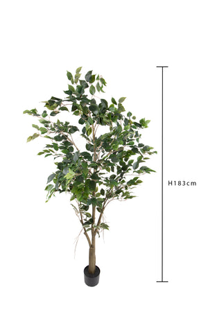 Pianta Artificiale Ficus con Vaso H 183 cm