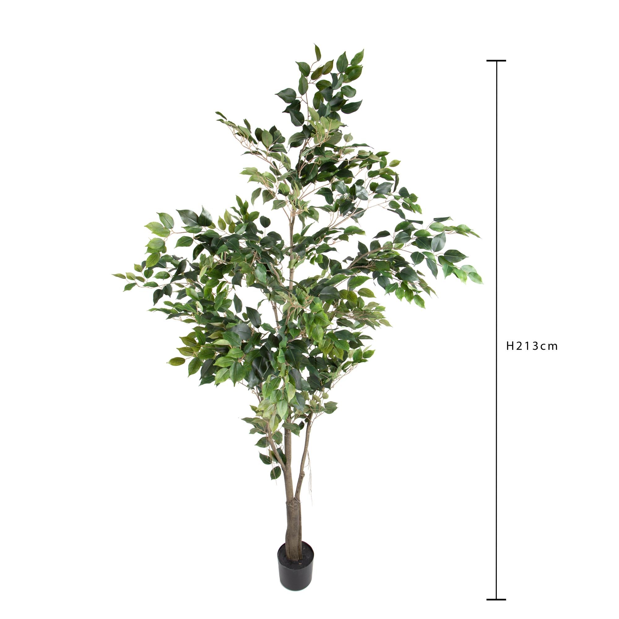 Pianta Artificiale Ficus con Vaso H 213 cm