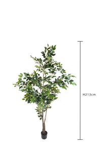 Pianta Artificiale Ficus con Vaso H 213 cm