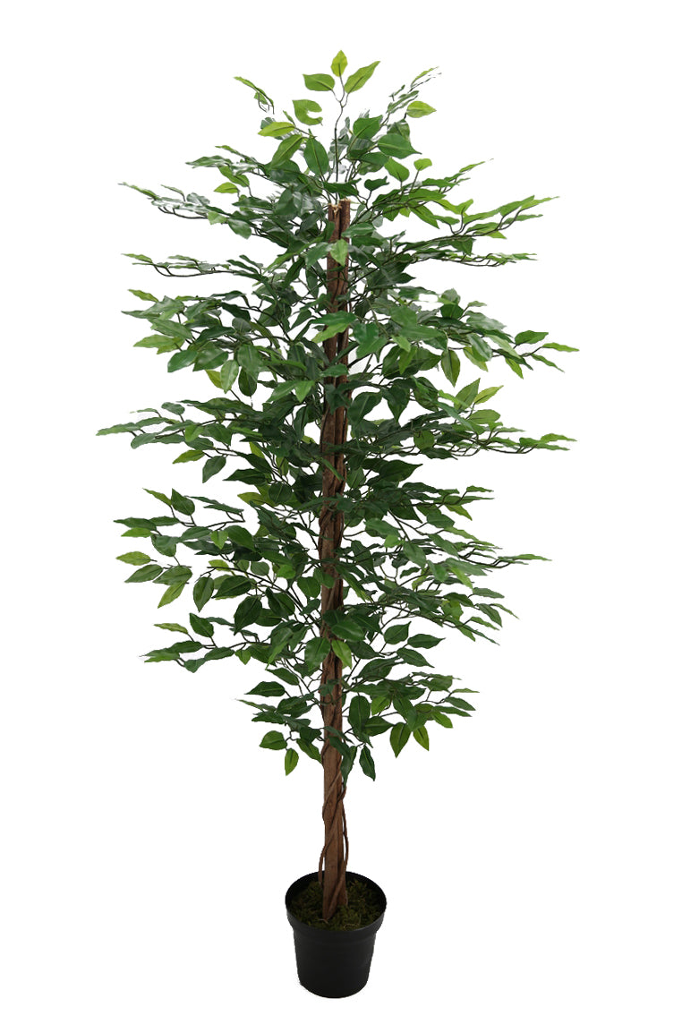 Pianta Artificiale Ficus Tree con Vaso 170 cm