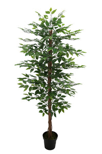 Pianta Artificiale Ficus Tree con Vaso 170 cm