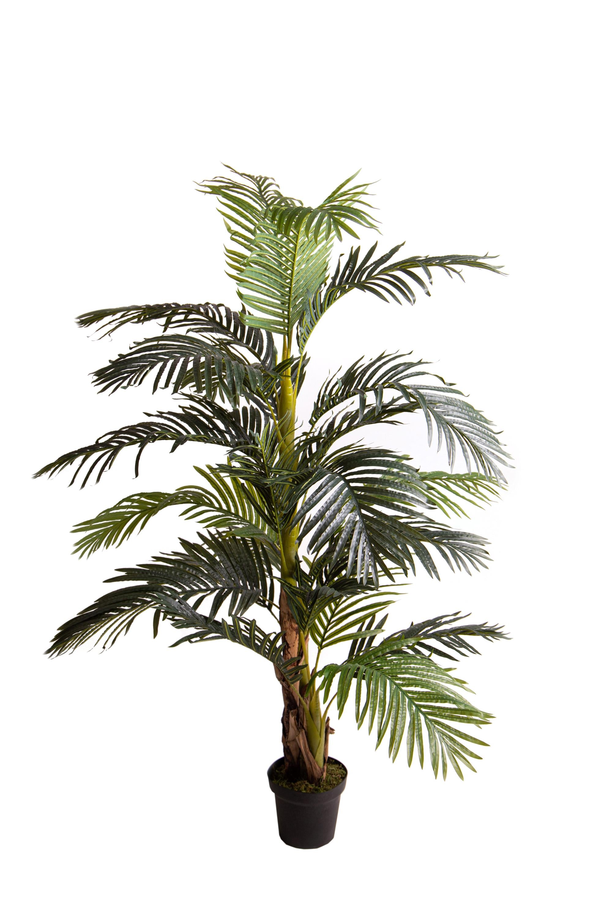 Pianta Artificiale Areca con Vaso H 190 cm