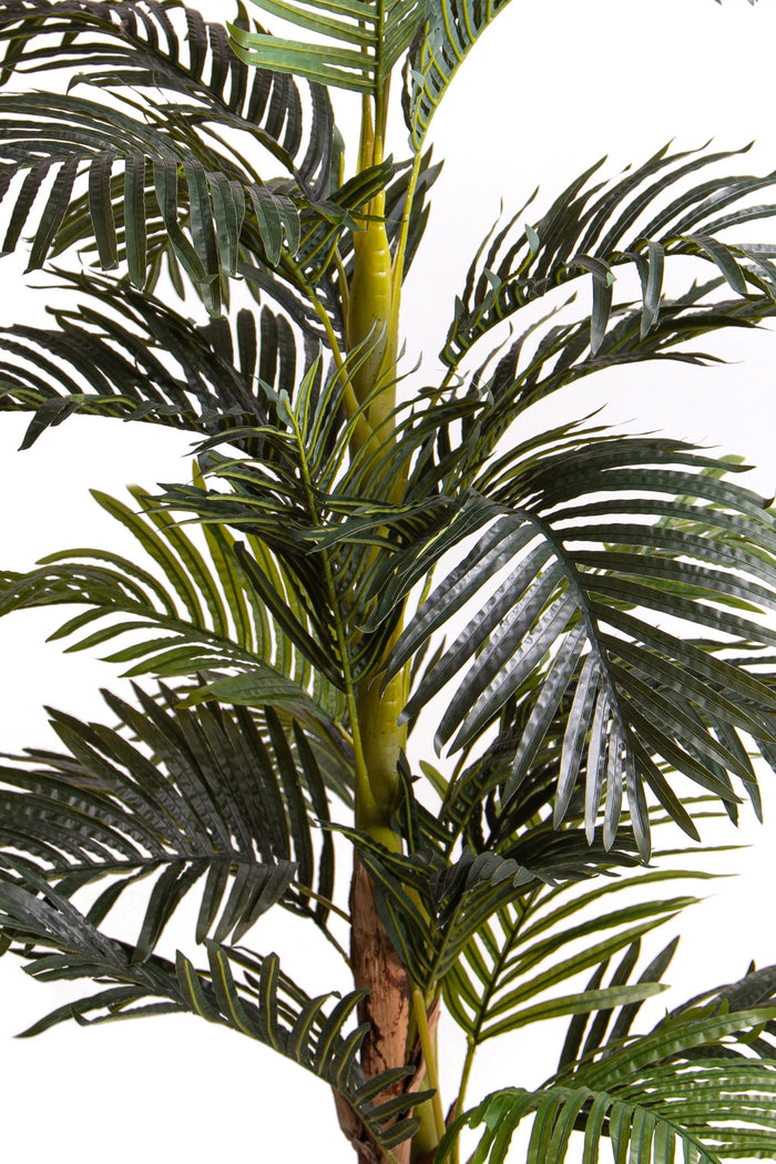 Pianta Artificiale Areca con Vaso H 190 cm