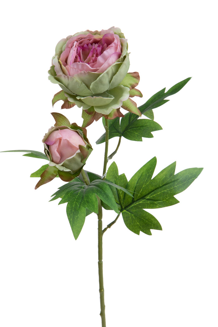 Set 6 Rami Artificiali Peonia per 2 Fiori 60 cm