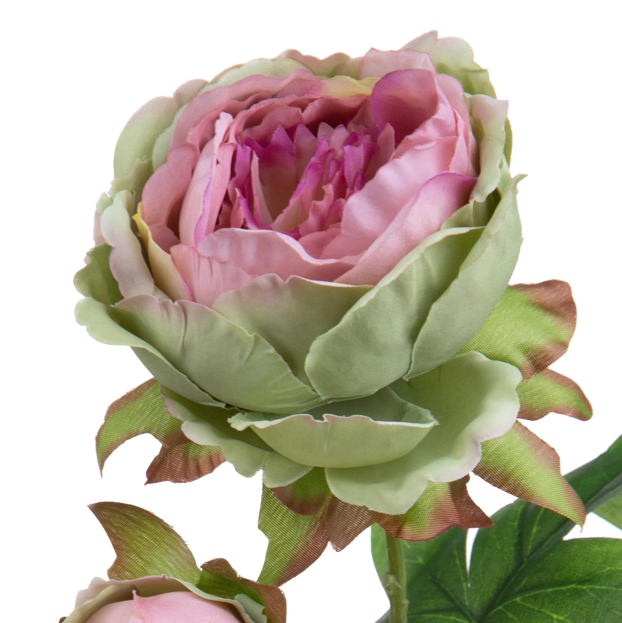 Set 6 Rami Artificiali Peonia per 2 Fiori 60 cm