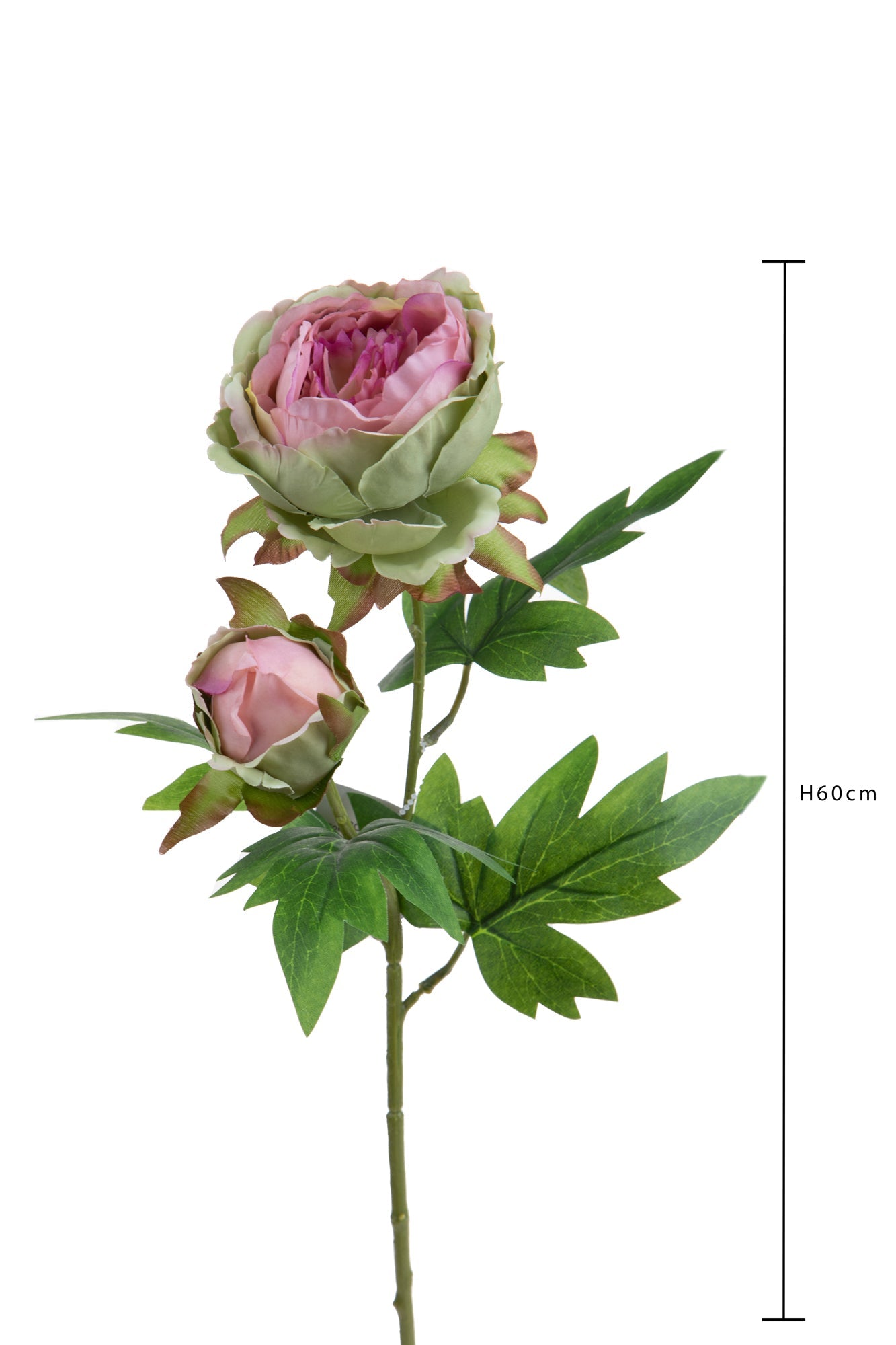 Set 6 Rami Artificiali Peonia per 2 Fiori 60 cm