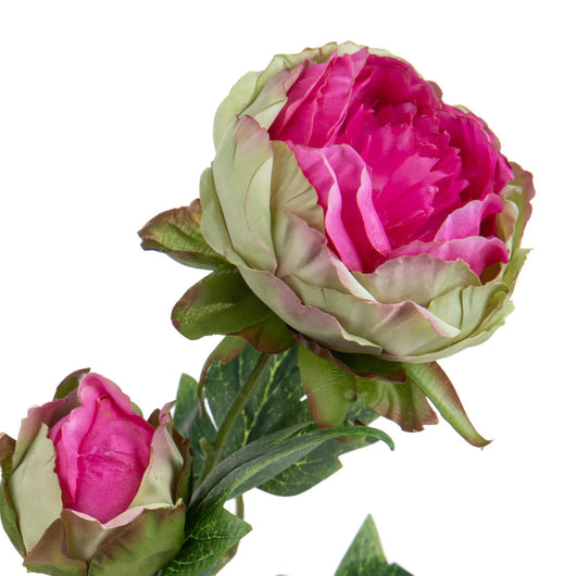 Set 6 Rami Artificiali Peonia per 2 Fiori 60 cm