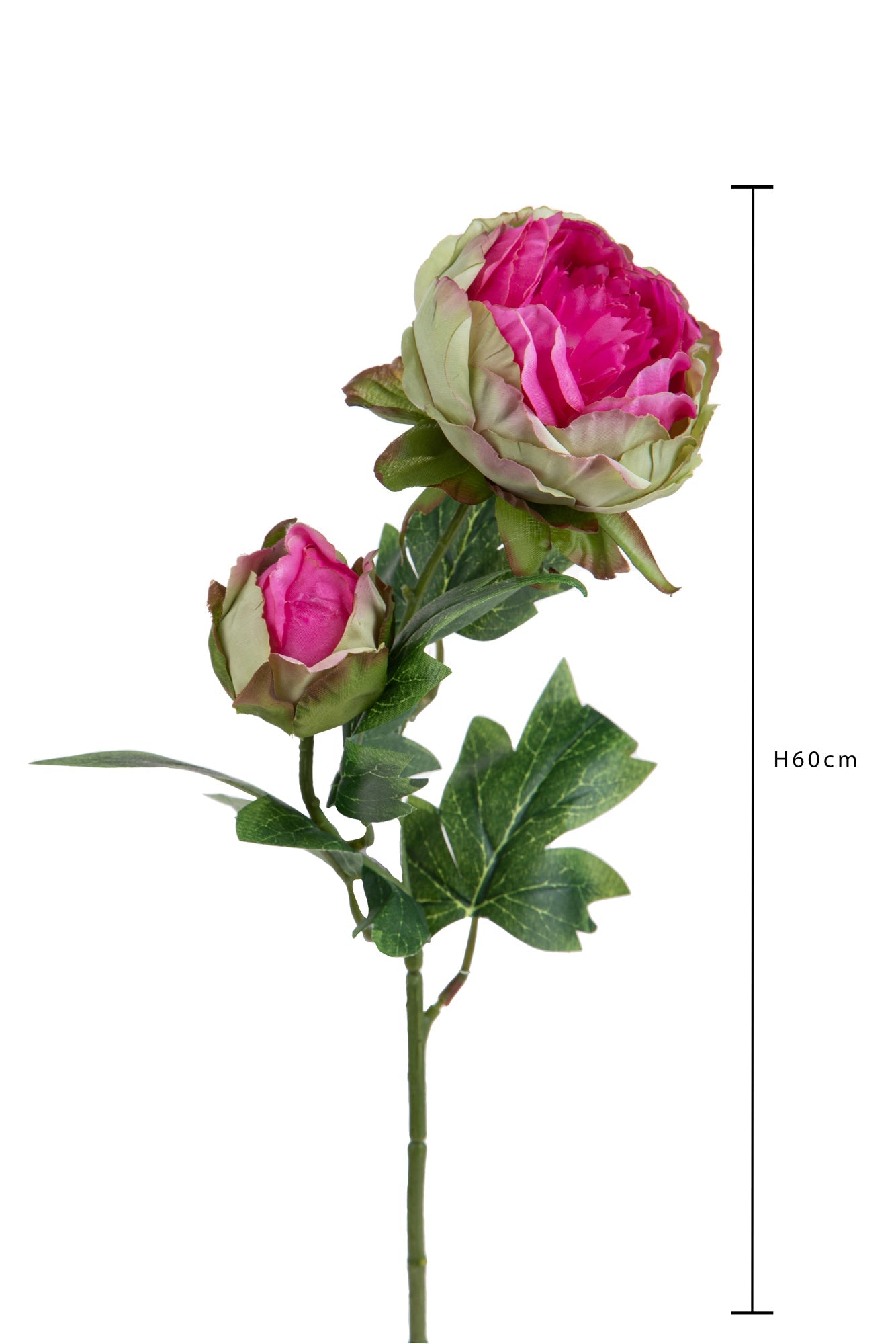 Set 6 Rami Artificiali Peonia per 2 Fiori 60 cm