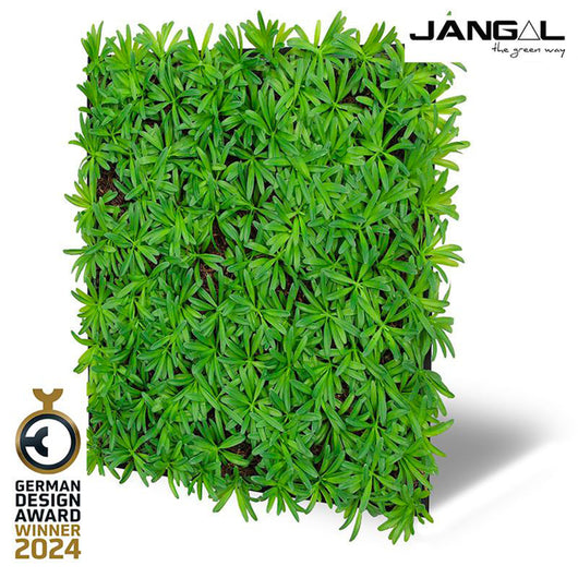 JANGAL Pannelli acustici Modulabili in FLORA sintetica ULTRAREALISTICA 52x52cm mod. PODOCARPUS TEA TREE