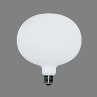 Lampadina Ciaobella Delo 220/260 â€“ D180 L195 â€“ Ra 95