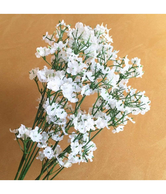 Rami Fiori Nebbiolina Artificiale 12 Pezzi Bianchi Finte Gypsophila Decorazioni         