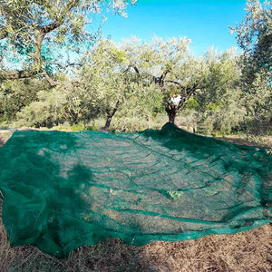 Rete antispina per raccolta olive 33 gr/mq - rotoli di varie dimensioni (167 mt - altezza 6 mt)