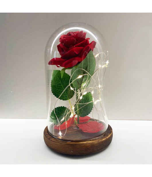 Rosa Eterna Incantata La Bella E La Bestia In Cupola Con Base Legno E Luci A Led         