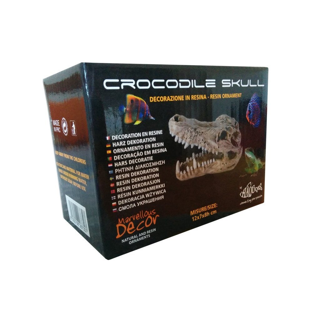 Haquoss crocodile skull carcassa coccodrillo per rettili marvellous decor