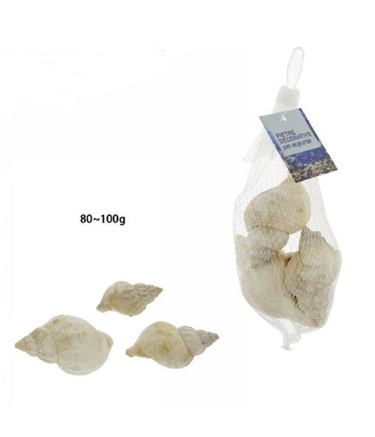 Sacchetto Da 80 - 100 Gr Conchiglie Di Mare Decorazione Ornamento Acquario 70285         