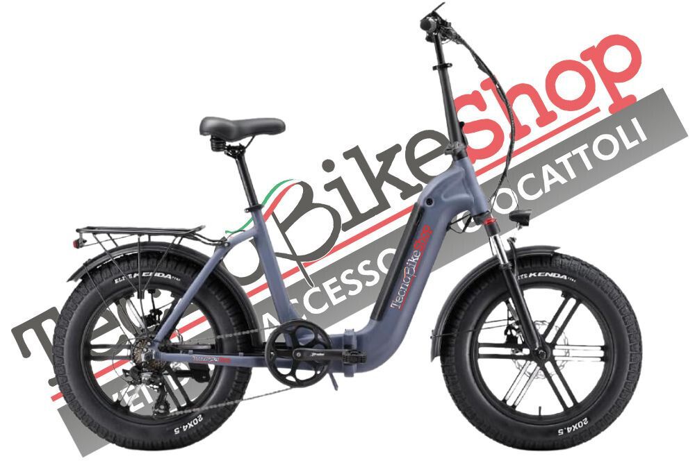 Bici Elettrica a Pedalata Assistita E-Bike Pieghevole City Bike Florida 4S 250W 36V Batteria Litio Shimano - Grigio