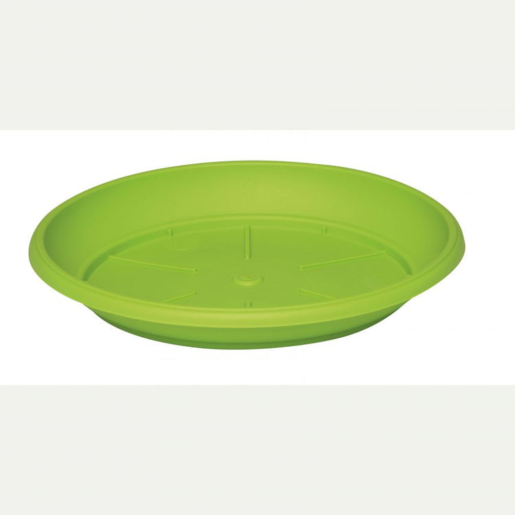 Piatto per vaso similcotto diametro 22 colore verde lime