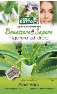 Sementi aloe vera