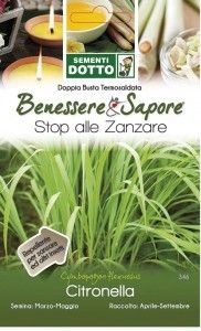 Sementi citronella benessere&sapore