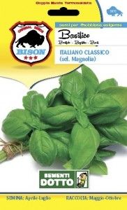 Sementi basilico gen sel magnolia