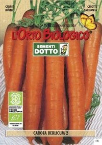 Sementi carota berlicum