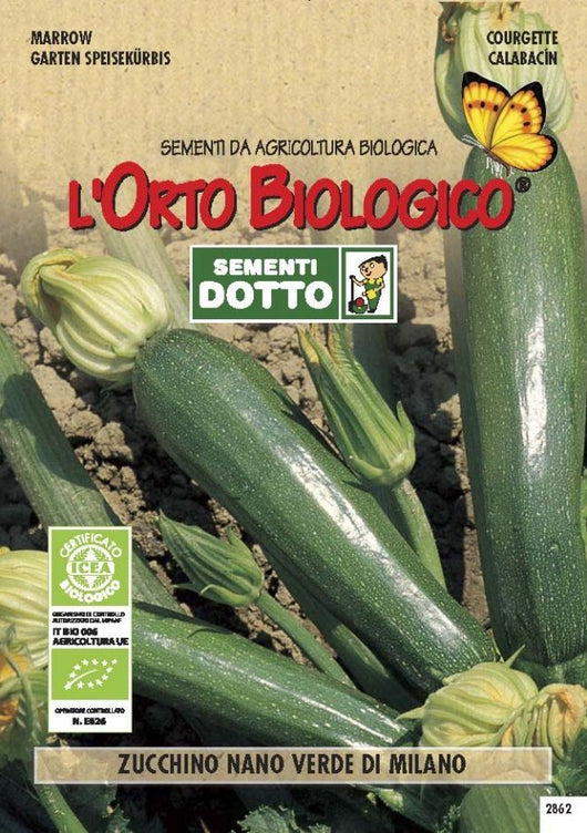 Sementi zucchino nano verde di milano