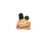 Cactus su roccia 4x4x4.5 cm