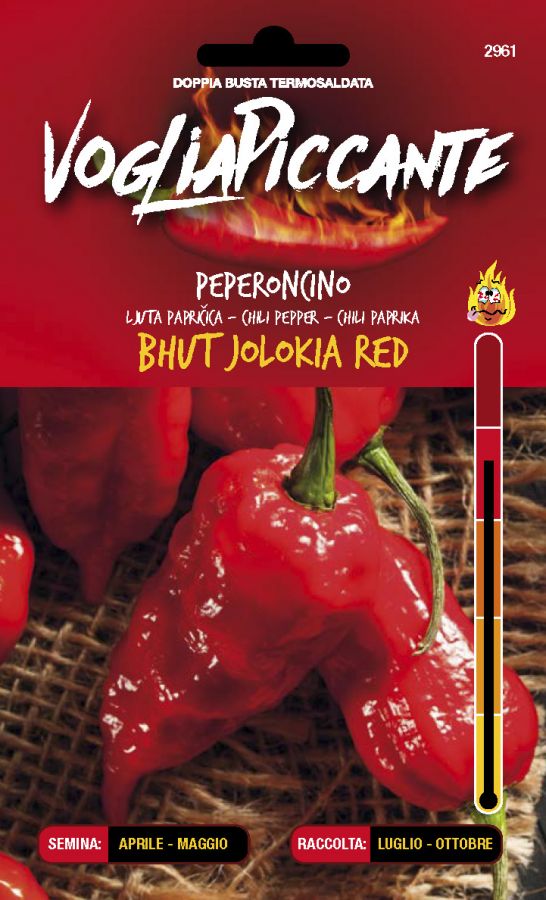 Hot peppers bhut jolokia red