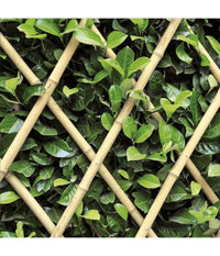 Traliccio Rete Bambà¹ Bamboo 180 X 60 Cm Estensibile Bamboo Piante Rampicanti         