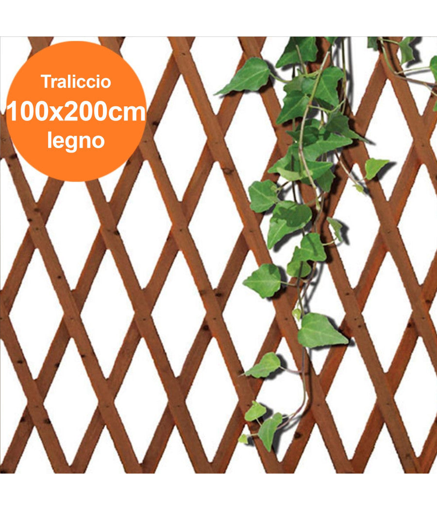 Traliccio Rete Estensibile In Legno Scuro Per Parete Da Giardino Piante 100x200         