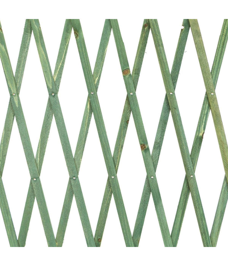 Traliccio Rete Estensibile In Legno Verde Per Parete Da Giardino Piante 100x200         