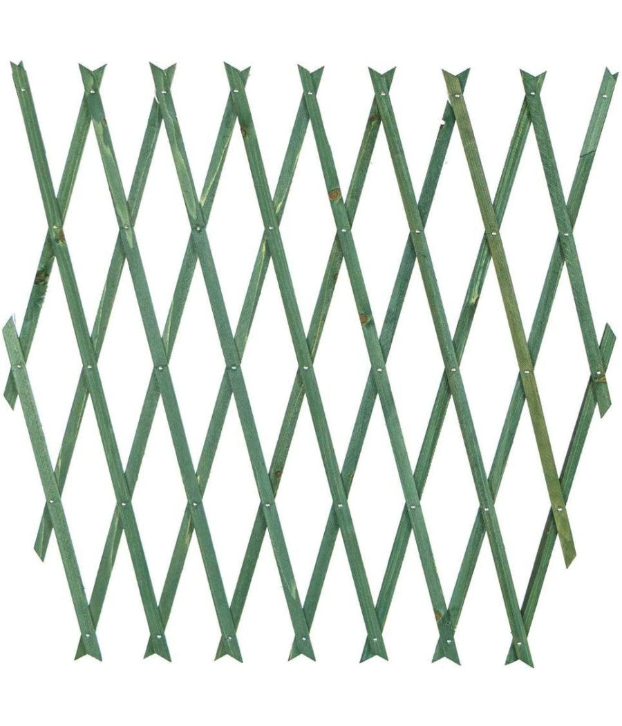 Traliccio Rete Estensibile In Legno Verde Per Parete Da Giardino Piante 180x30cm         