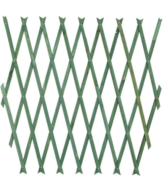 Traliccio Rete Estensibile In Legno Verde Per Parete Da Giardino Piante 180x30cm         