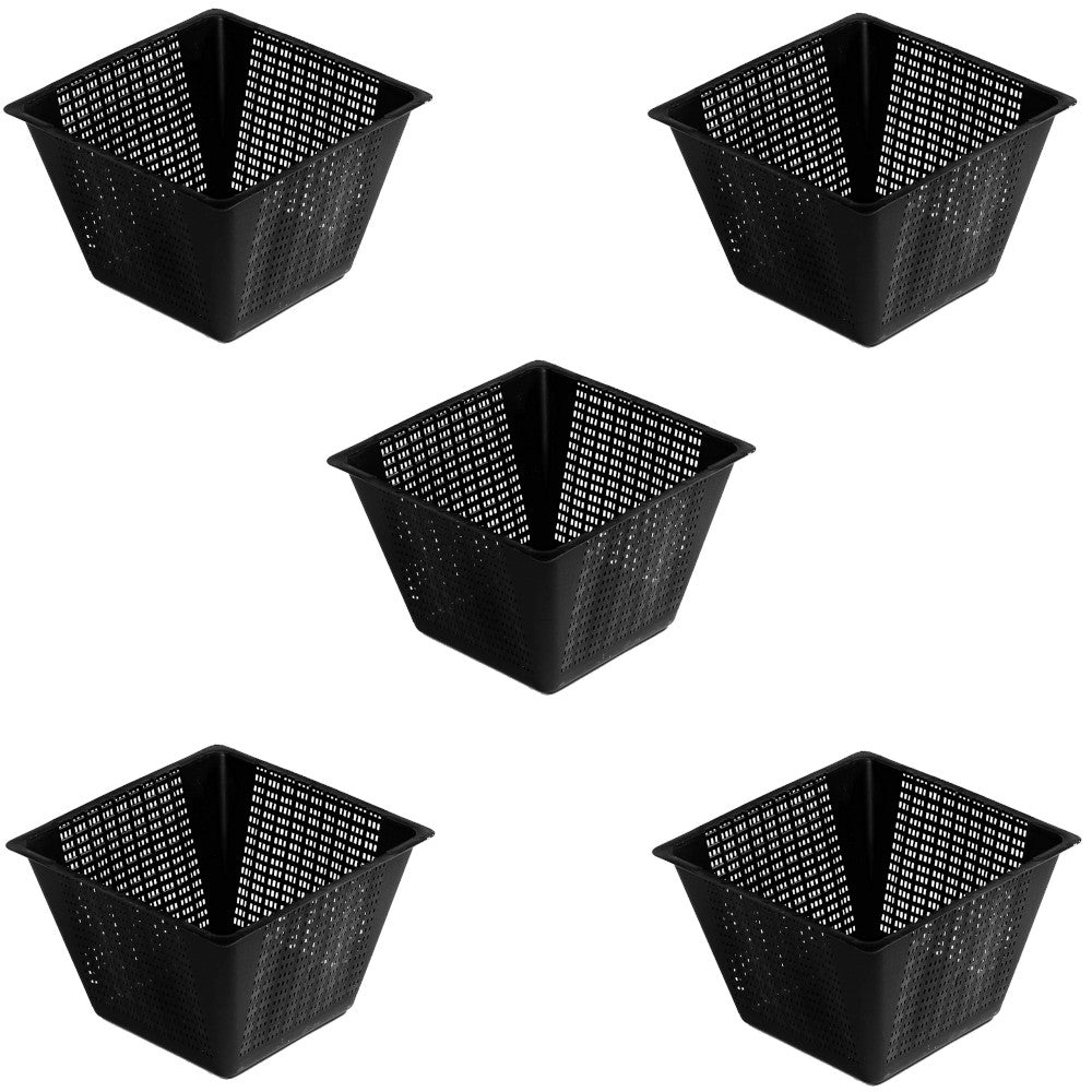 Multipack da 5 cesti per piante acquatiche quadrati dimensioni 25 cm cadauno