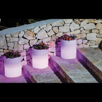 VASO LUMINOSO DELPHINUS 50 h CON LED MULTICOLOR E BATTERIA SOLARE