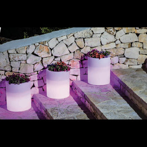 VASO LUMINOSO DELPHINUS 50 h CON LED MULTICOLOR E BATTERIA SOLARE