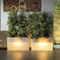 Vaso Luminoso Fioriera In Resina Rettangolare H 80 CM Led Luce Bianca mod. Flowerpot Top Bright