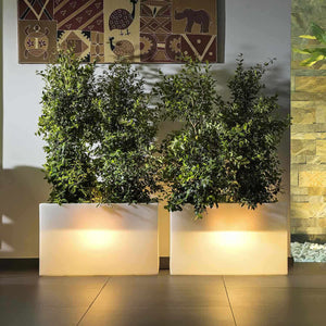 Vaso Luminoso Fioriera In Resina Rettangolare H 80 CM Led Luce Bianca mod. Flowerpot Top Bright