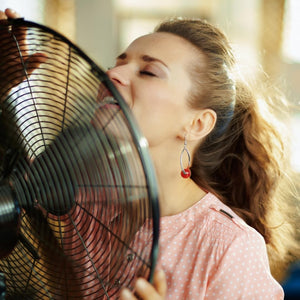 Ventilatore A Piantana Silenzioso, Ventilatore Potente Elettrico In Acciaio Con 5 Pale In Alluminio