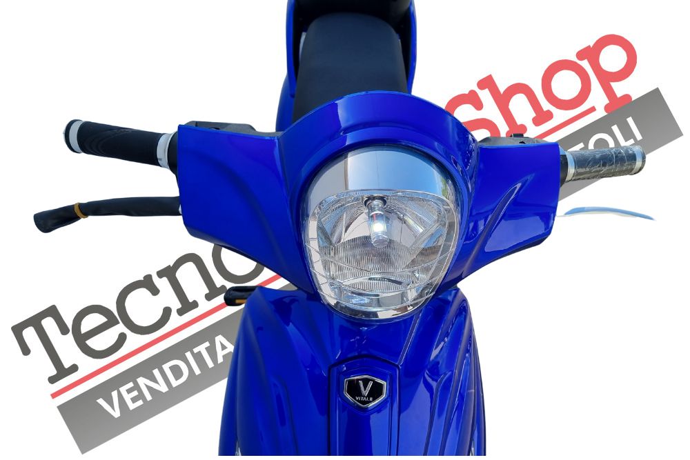 Bici Elettrica Scooter Velocipede Vitale NJT-007 250W  20Ah 48V Batteria a Grafene colore Blu