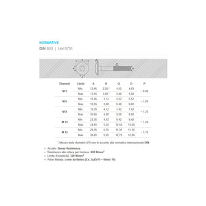 Vite carrettiere 6x80/21mm - 10pz vite metrica testa tonda con quadro sottotesta bassa resistenza