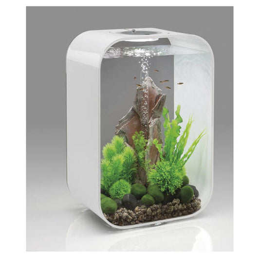 Oase acquario luminoso biorb life 45 litri colore bianco con luci a led colorati