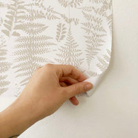 Carta da parati adesiva Fern in vinile ecru- 1 rotolo 50x300 cm-Decochic