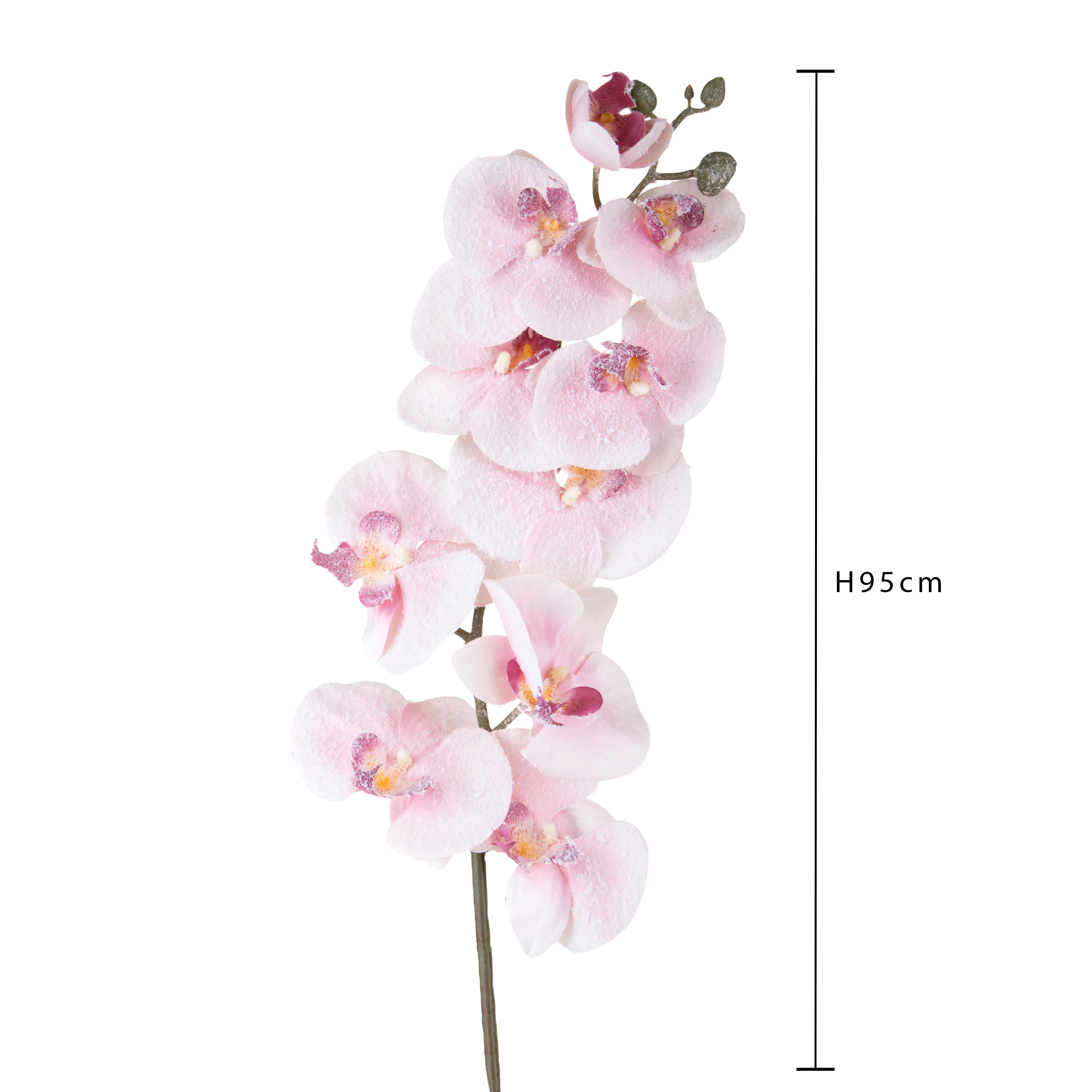 Set 12 Peonia innevata H76 cm Rosa