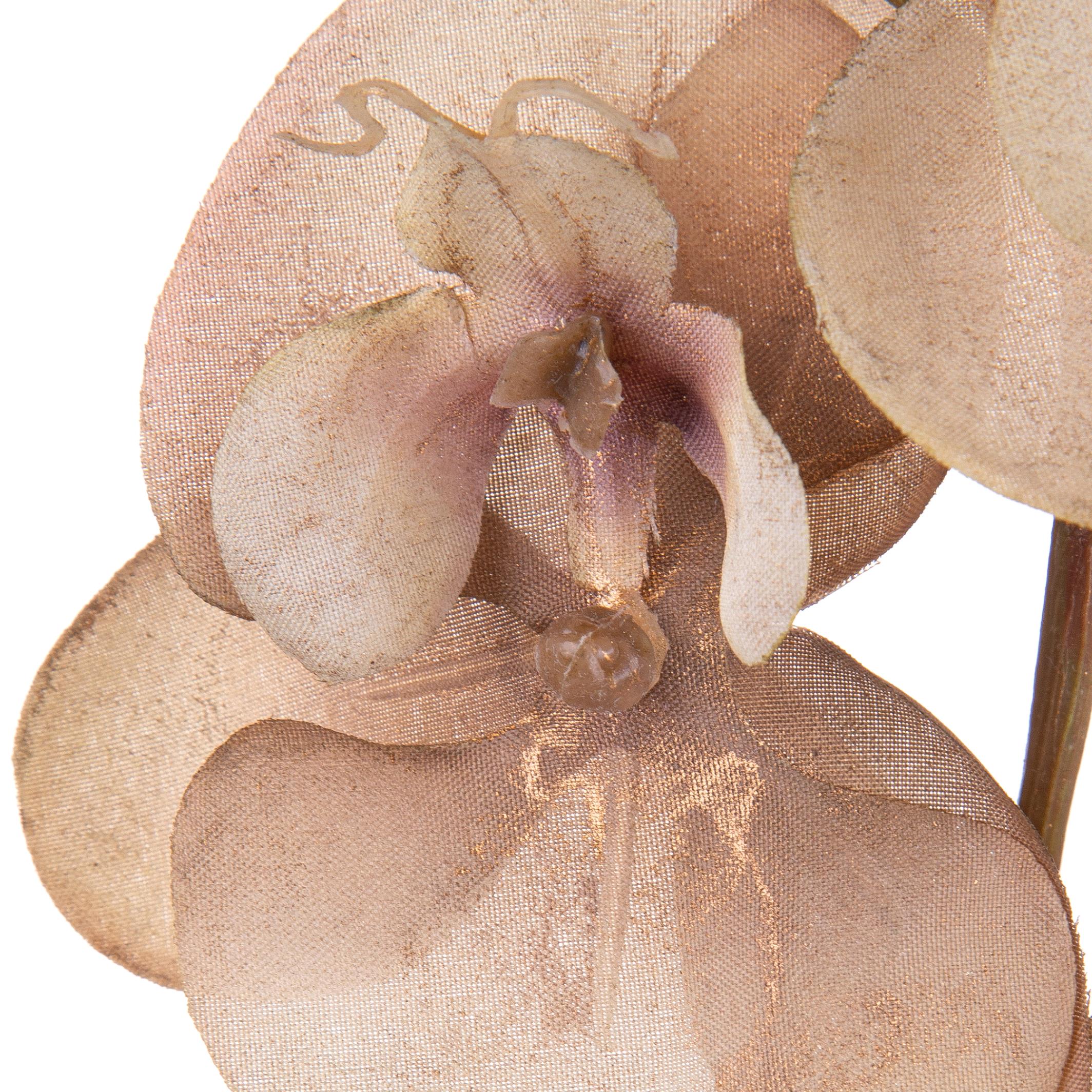 Set 6 Fiori Phalenopsis Br/Gold H81 cm Beige